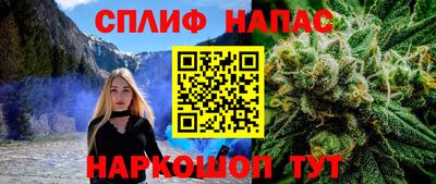 прущие грибы Пыть-Ях