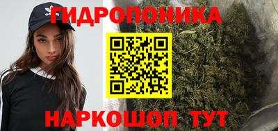 прущие грибы Пыть-Ях